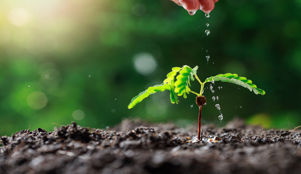 Soil and precision management Soil and precision management